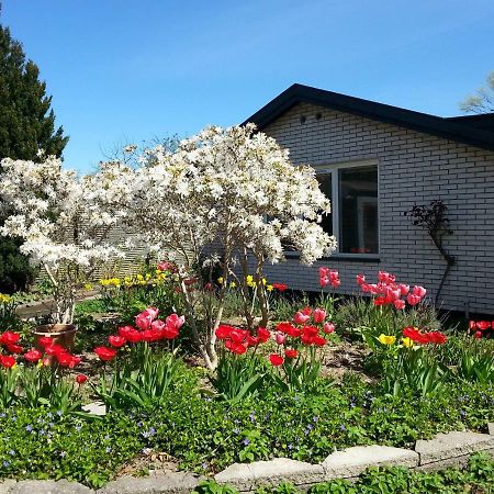 Mini-Apartment In The Flowerbed Søborg Eksteriør bilde