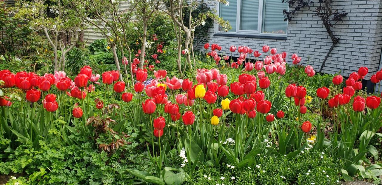 Mini-Apartment In The Flowerbed Søborg Eksteriør bilde